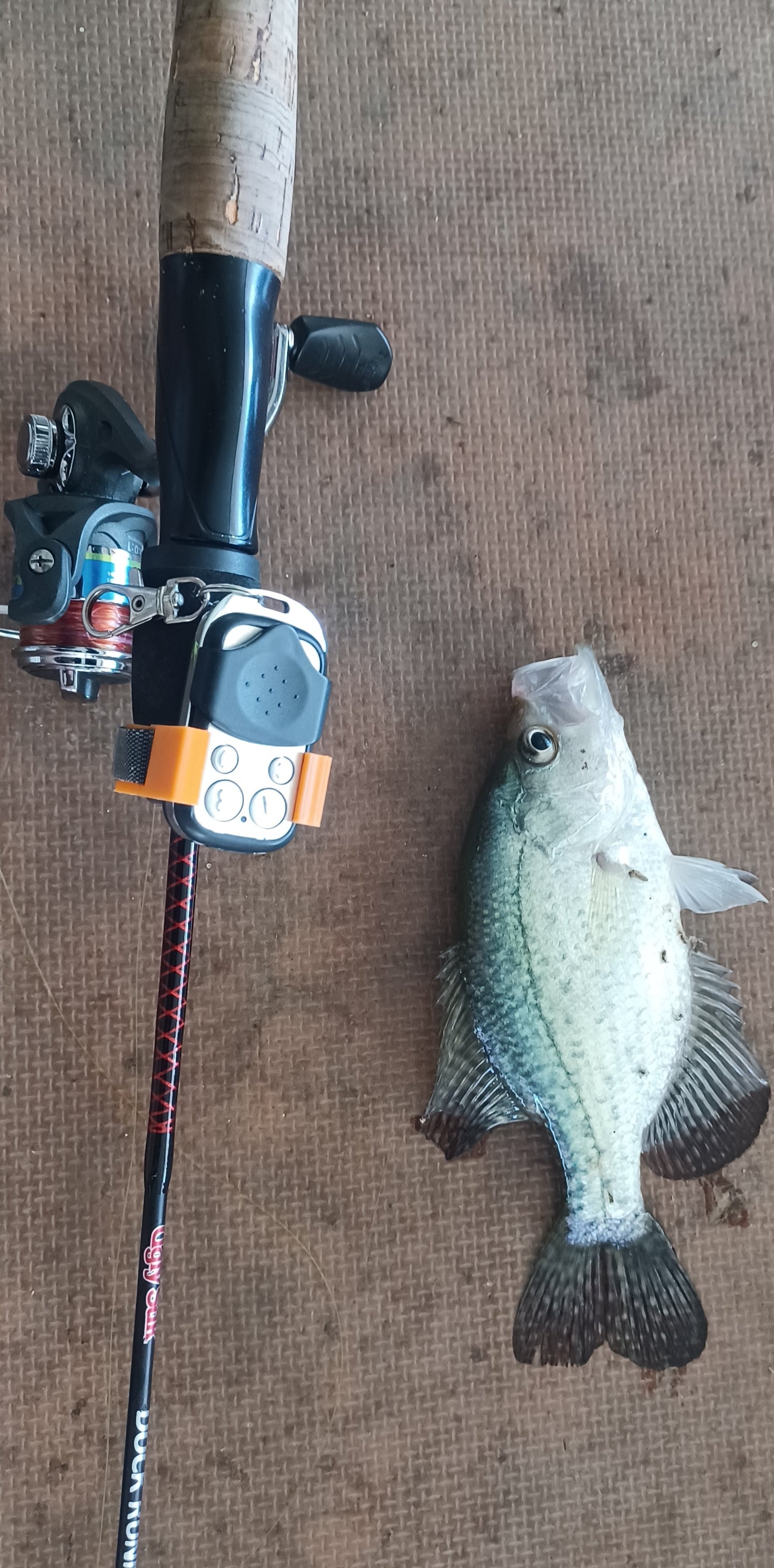 Aqua Aim - Auto Rotation Sonar Pole